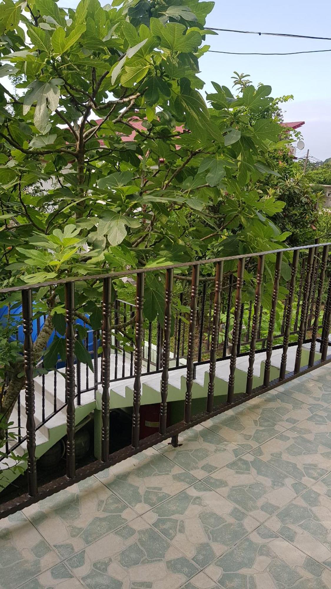 Hotel Captain Gonio المظهر الخارجي الصورة